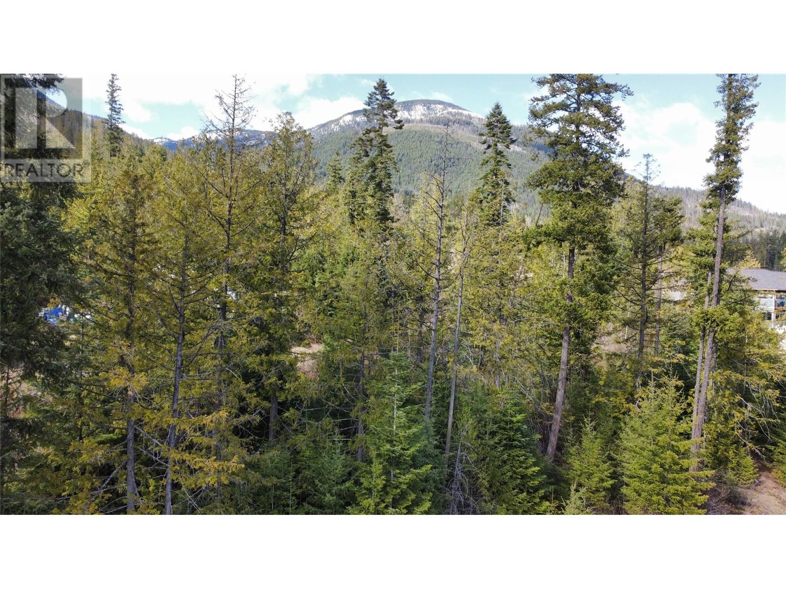 317 Mountainview Drive, Nelson, British Columbia  V1L 6W6 - Photo 25 - 10344137