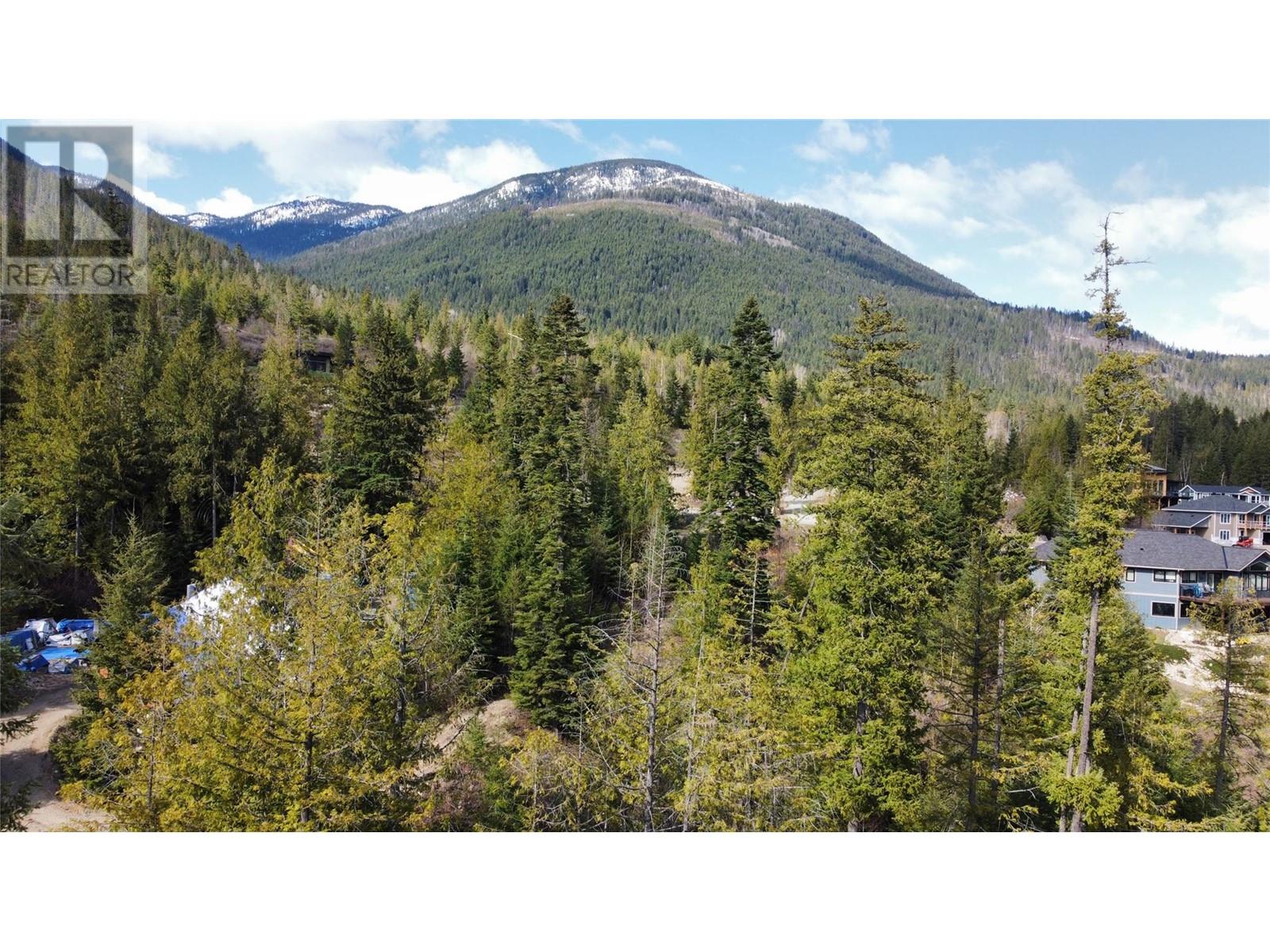 317 Mountainview Drive, Nelson, British Columbia  V1L 6W6 - Photo 27 - 10344137