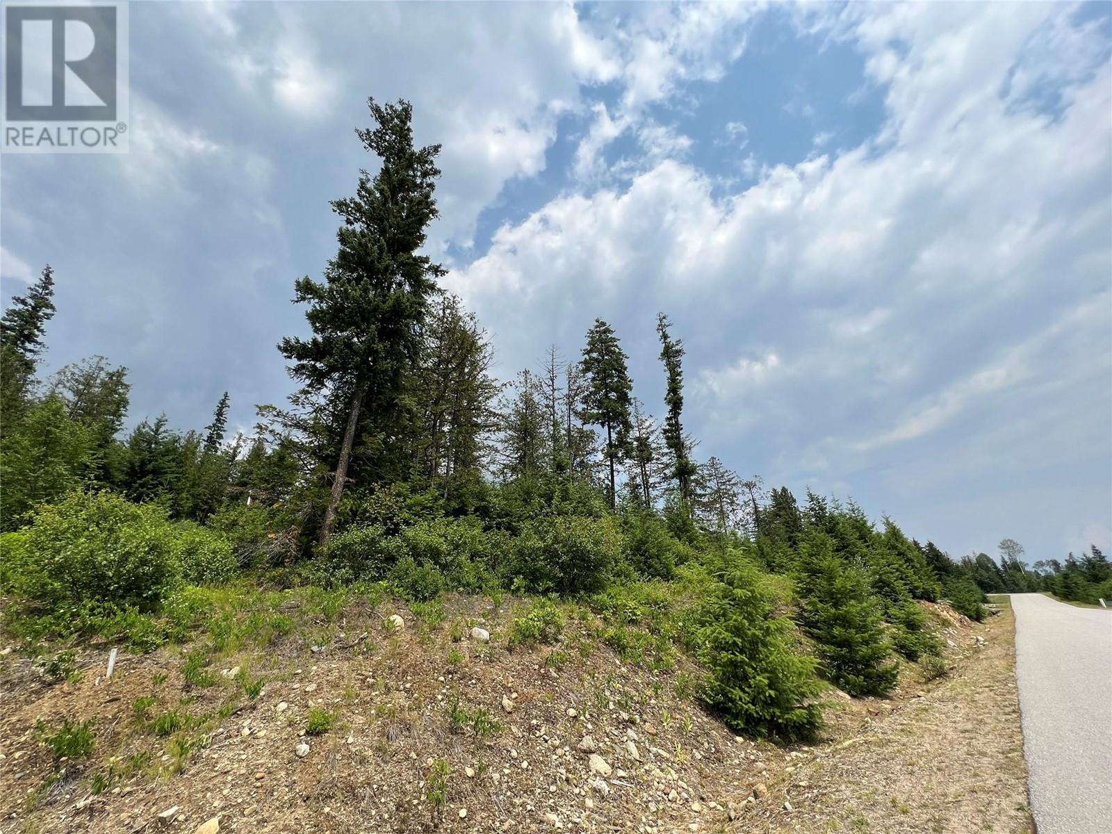317 Mountainview Drive, Nelson, British Columbia  V1L 6W6 - Photo 3 - 10344137