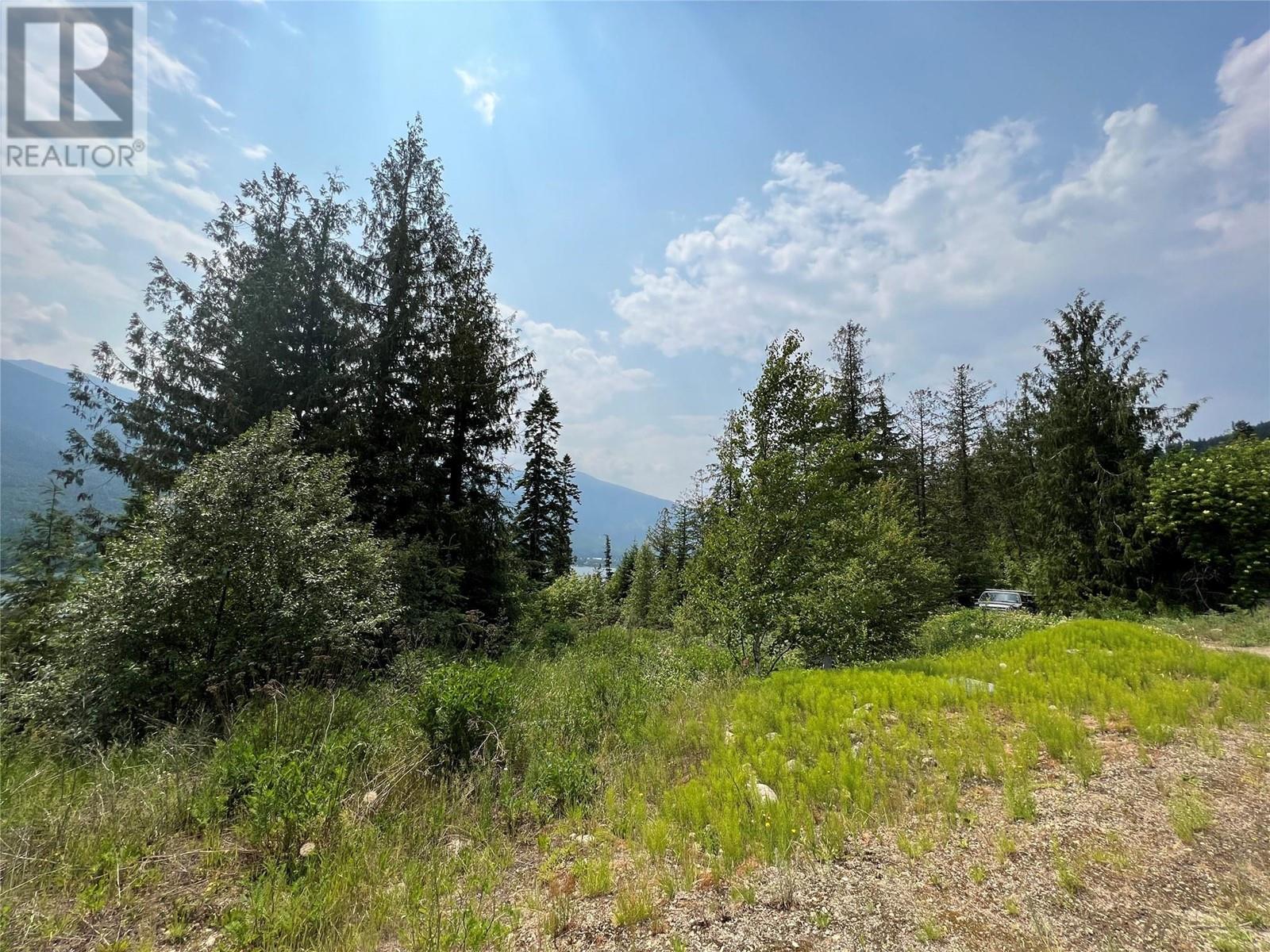 317 Mountainview Drive, Nelson, British Columbia  V1L 6W6 - Photo 4 - 10344137