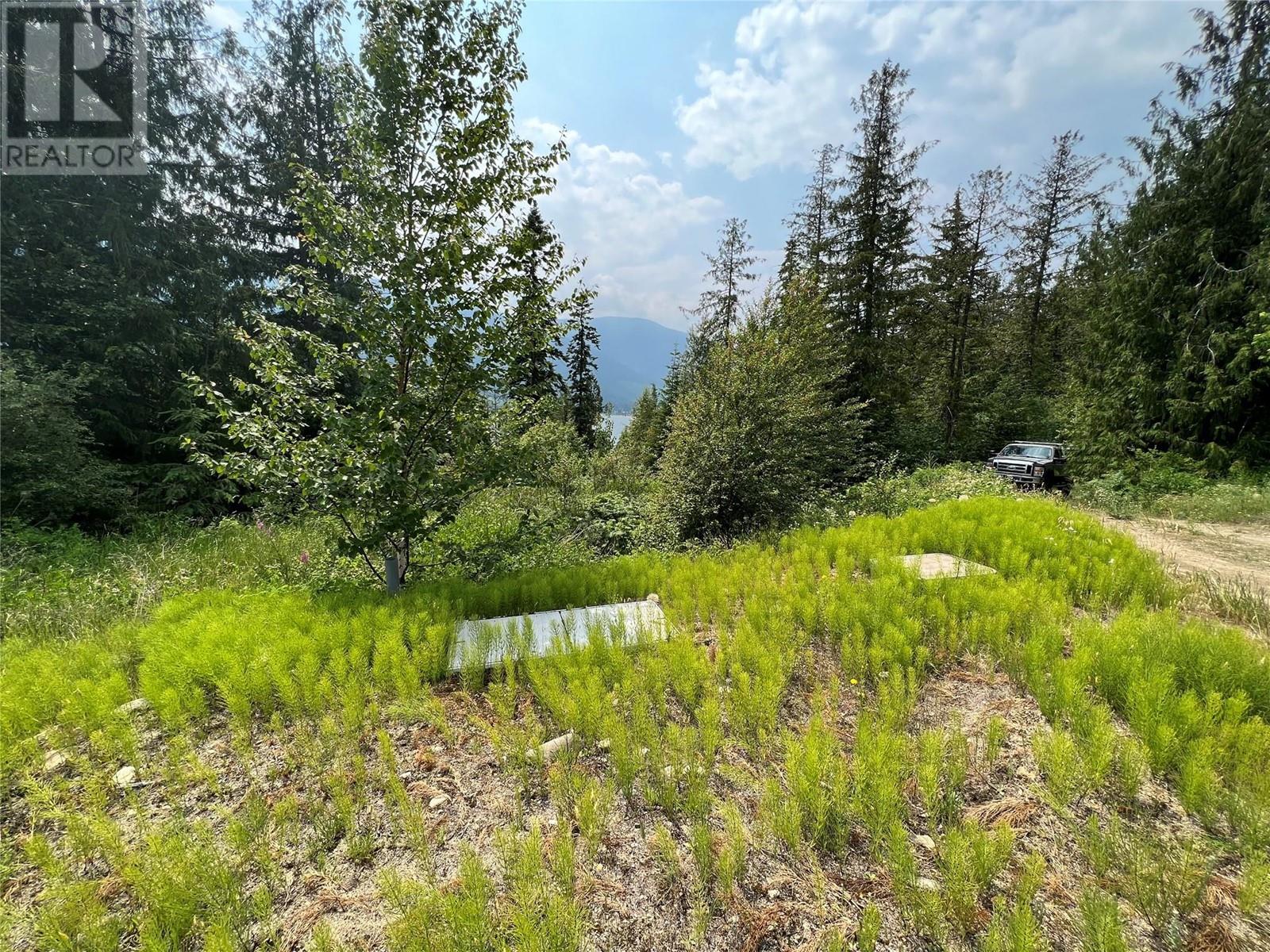 317 Mountainview Drive, Nelson, British Columbia  V1L 6W6 - Photo 5 - 10344137