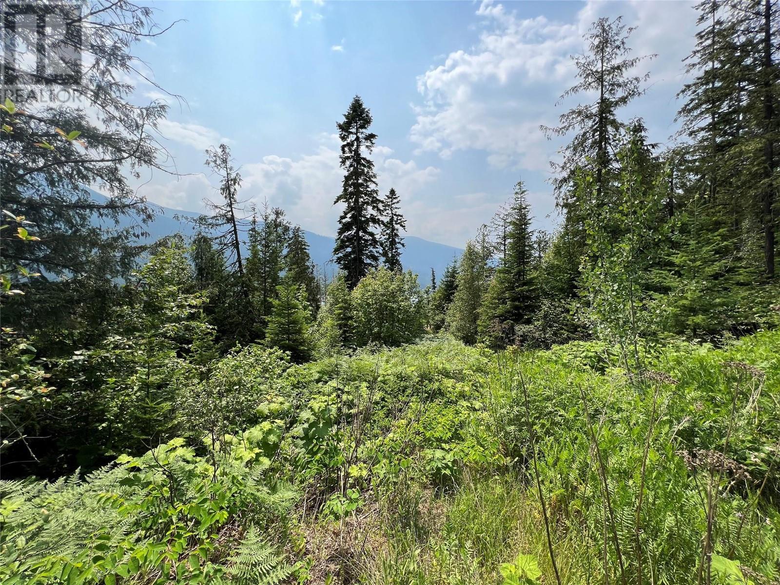 317 Mountainview Drive, Nelson, British Columbia  V1L 6W6 - Photo 7 - 10344137
