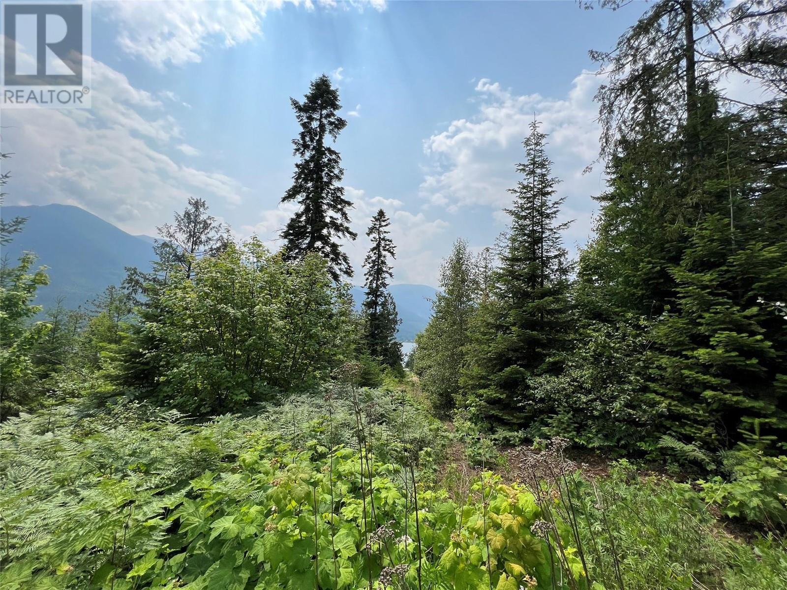 317 Mountainview Drive, Nelson, British Columbia  V1L 6W6 - Photo 8 - 10344137