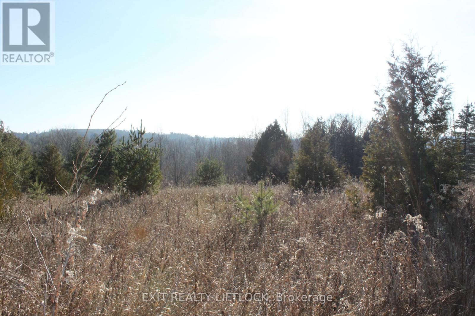 104 Concession 3 W, Trent Hills, Ontario  K0K 3K0 - Photo 5 - X12089524