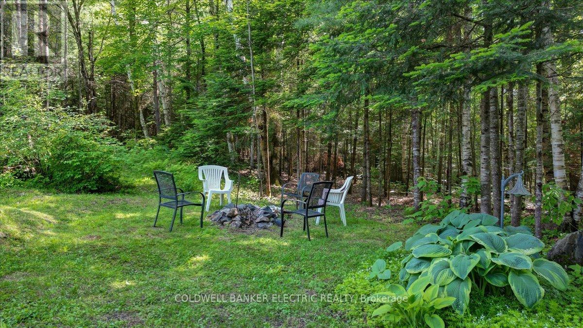 12642 Highway 28, North Kawartha, Ontario  K0L 1A0 - Photo 31 - X12089755