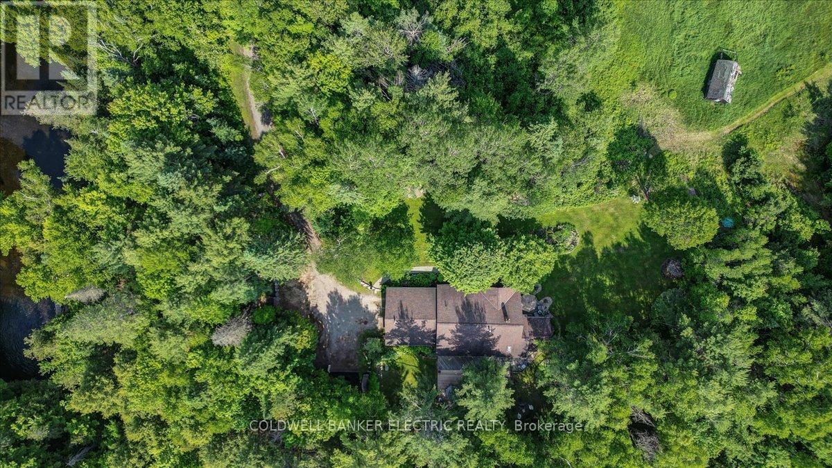 12642 Highway 28, North Kawartha, Ontario  K0L 1A0 - Photo 35 - X12089755