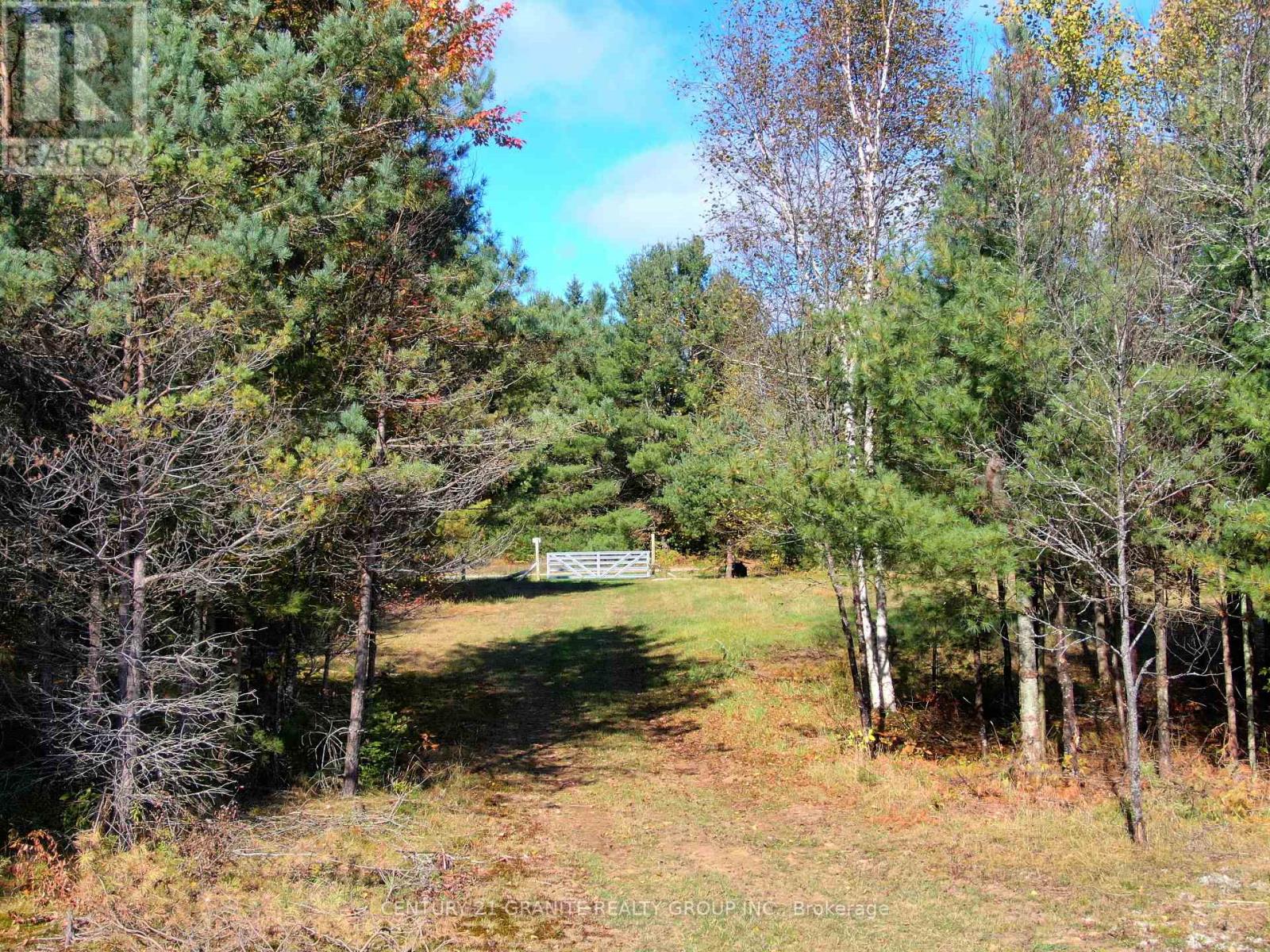 26457 Hwy 62 Highway, Bancroft, Ontario K0L 1C0 - Photo 28 - X12089938