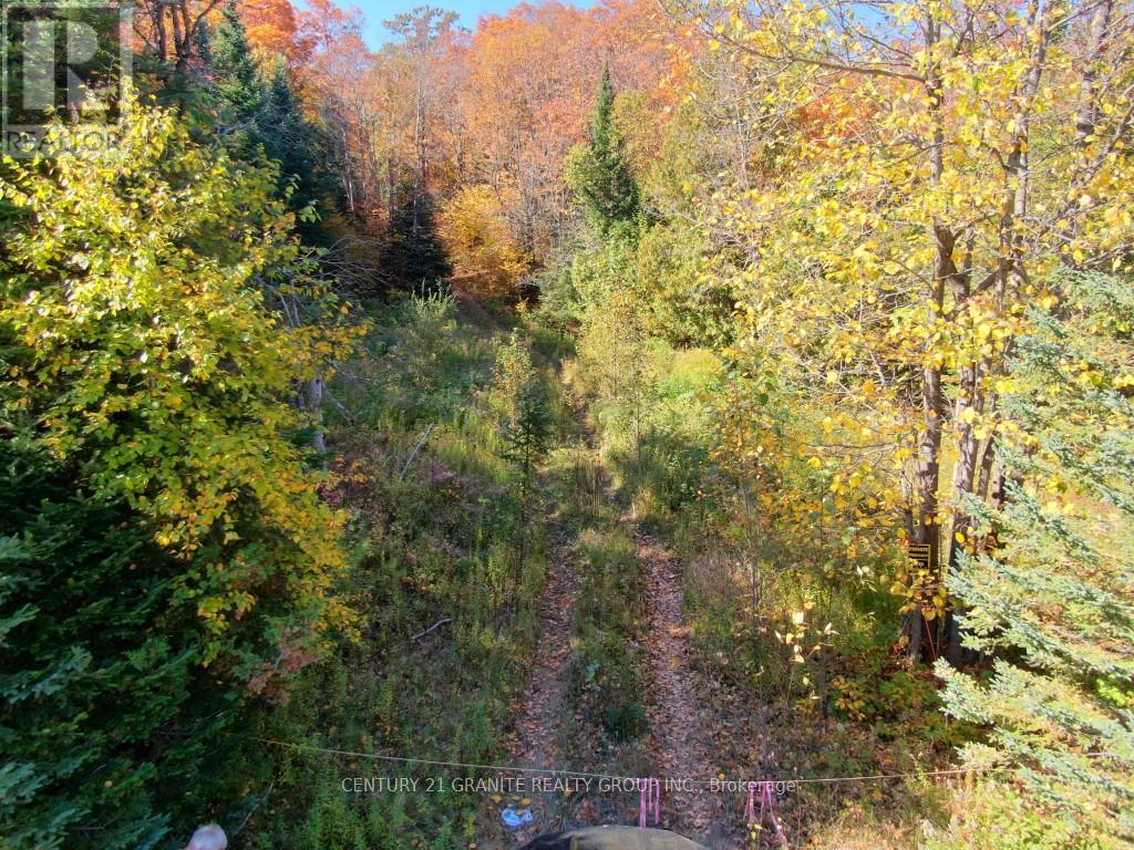 CON EHR PT LOT 25 M-25 LOT 4, Bancroft, Ontario