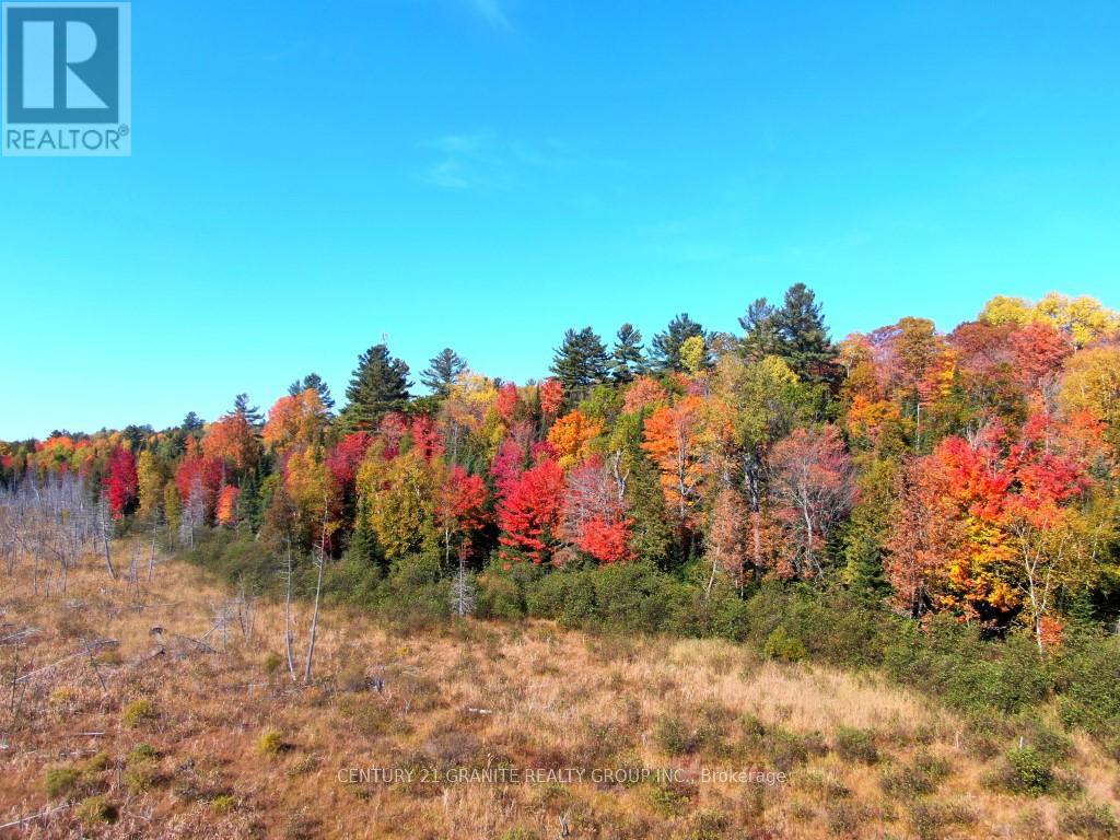 Con Ehr Pt Lot 25 M-25 Lot 4, Bancroft, Ontario  K0L 1C0 - Photo 11 - X12089962