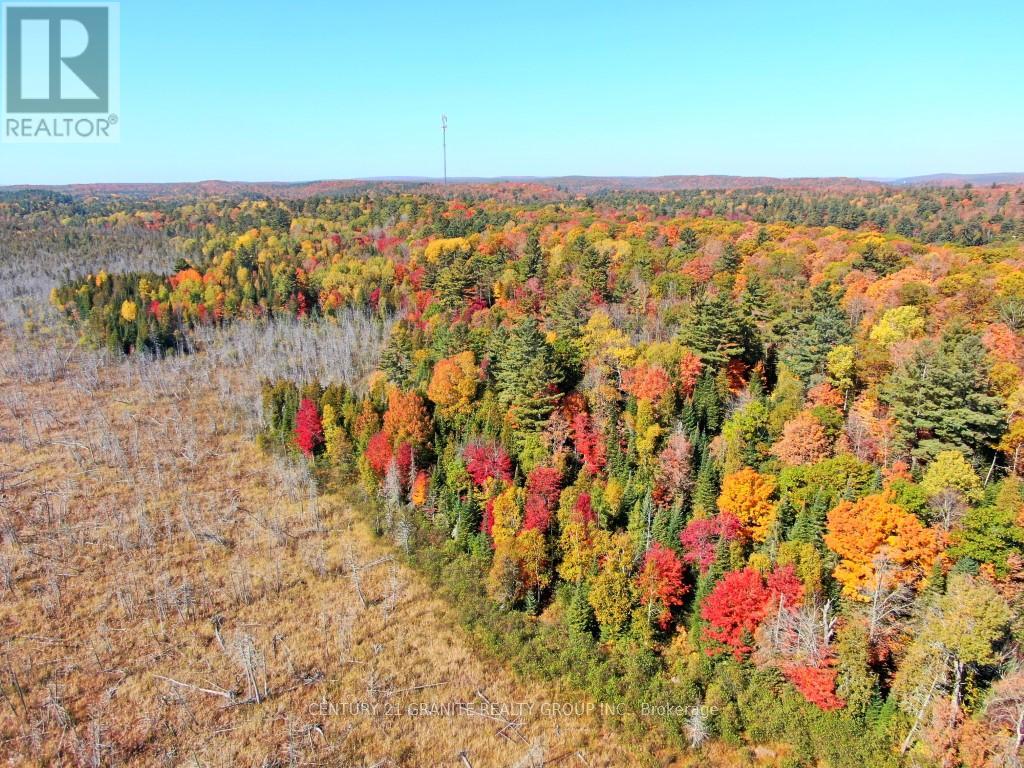 Con Ehr Pt Lot 25 M-25 Lot 4, Bancroft, Ontario  K0L 1C0 - Photo 5 - X12089962