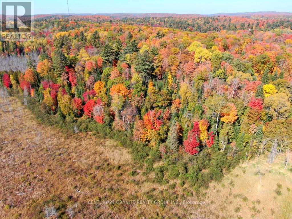 Con Ehr Pt Lot 25 M-25 Lot 4, Bancroft, Ontario  K0L 1C0 - Photo 6 - X12089962