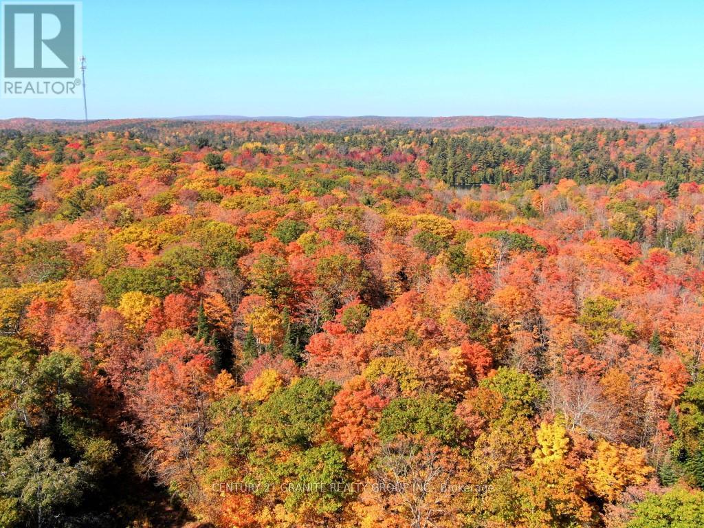 Con Ehr Pt Lot 25 M-25 Lot 4, Bancroft, Ontario  K0L 1C0 - Photo 9 - X12089962