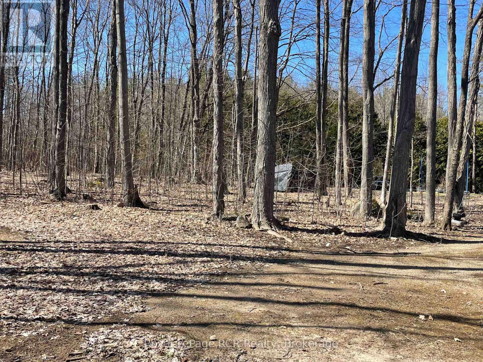 193 Blue Mountain Maples Road, Grey Highlands, Ontario  N0C 1E0 - Photo 10 - X12090145