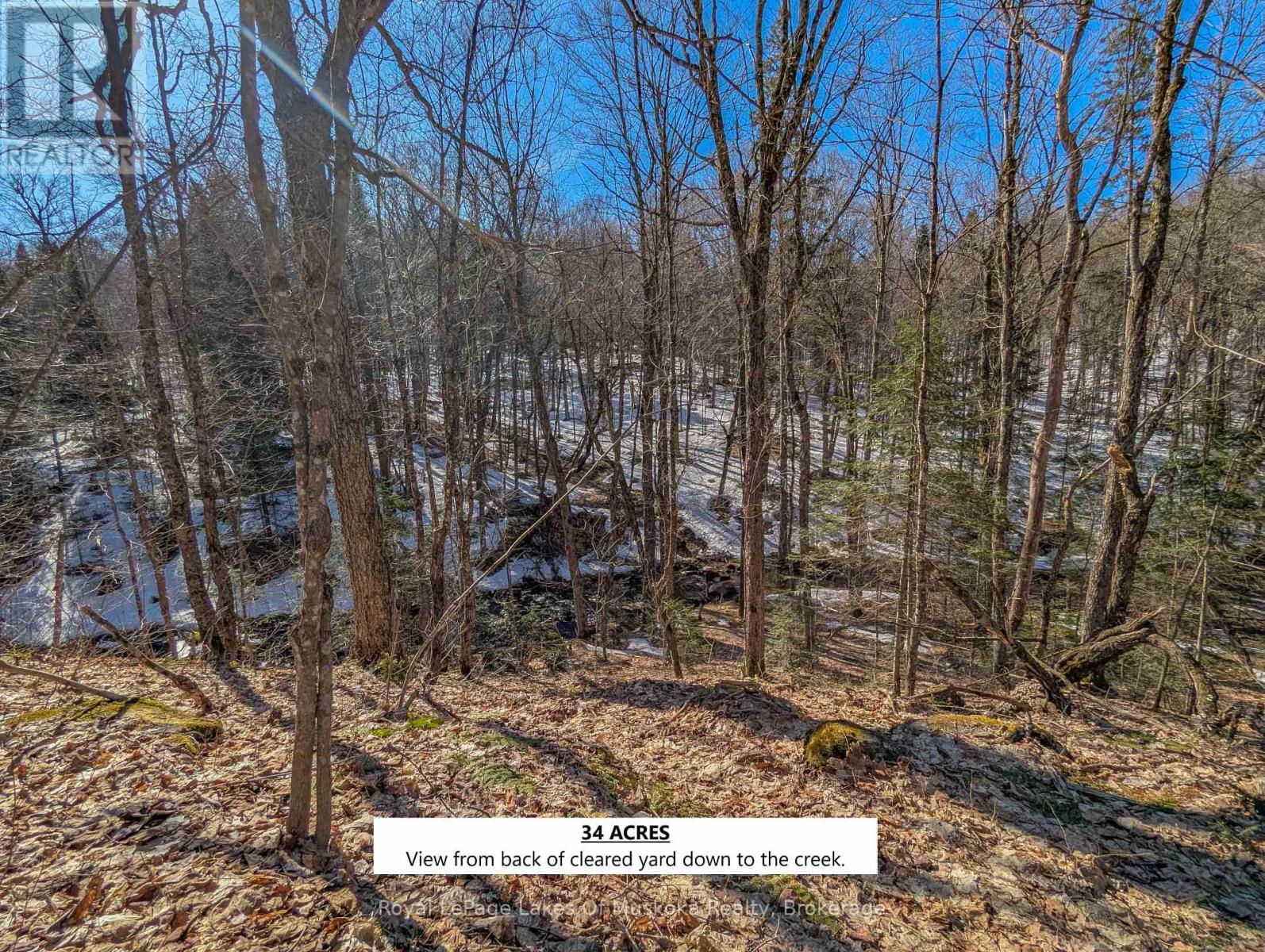 5031 Aspdin Road, Huntsville, Ontario  P0C 1J0 - Photo 31 - X12090213