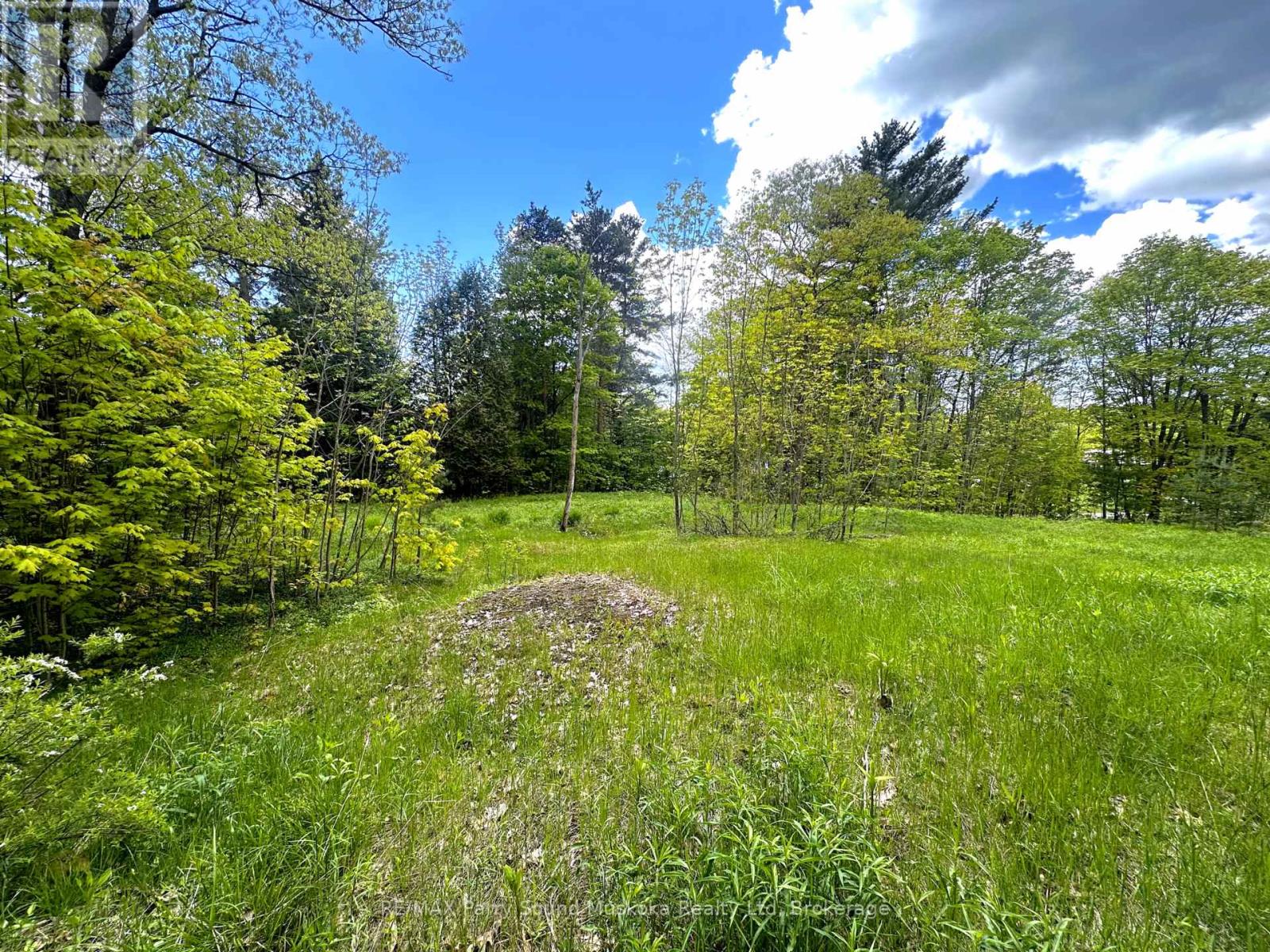 22a Lock Street, Seguin, Ontario  P0C 1J0 - Photo 11 - X12013046