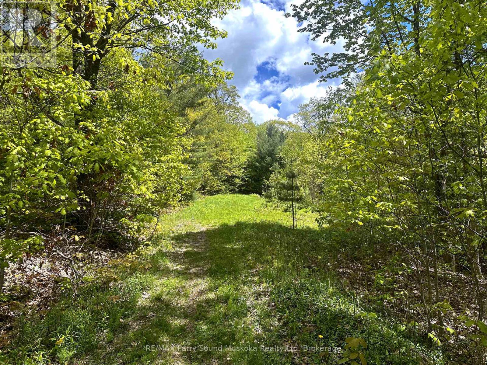 22a Lock Street, Seguin, Ontario  P0C 1J0 - Photo 15 - X12013046