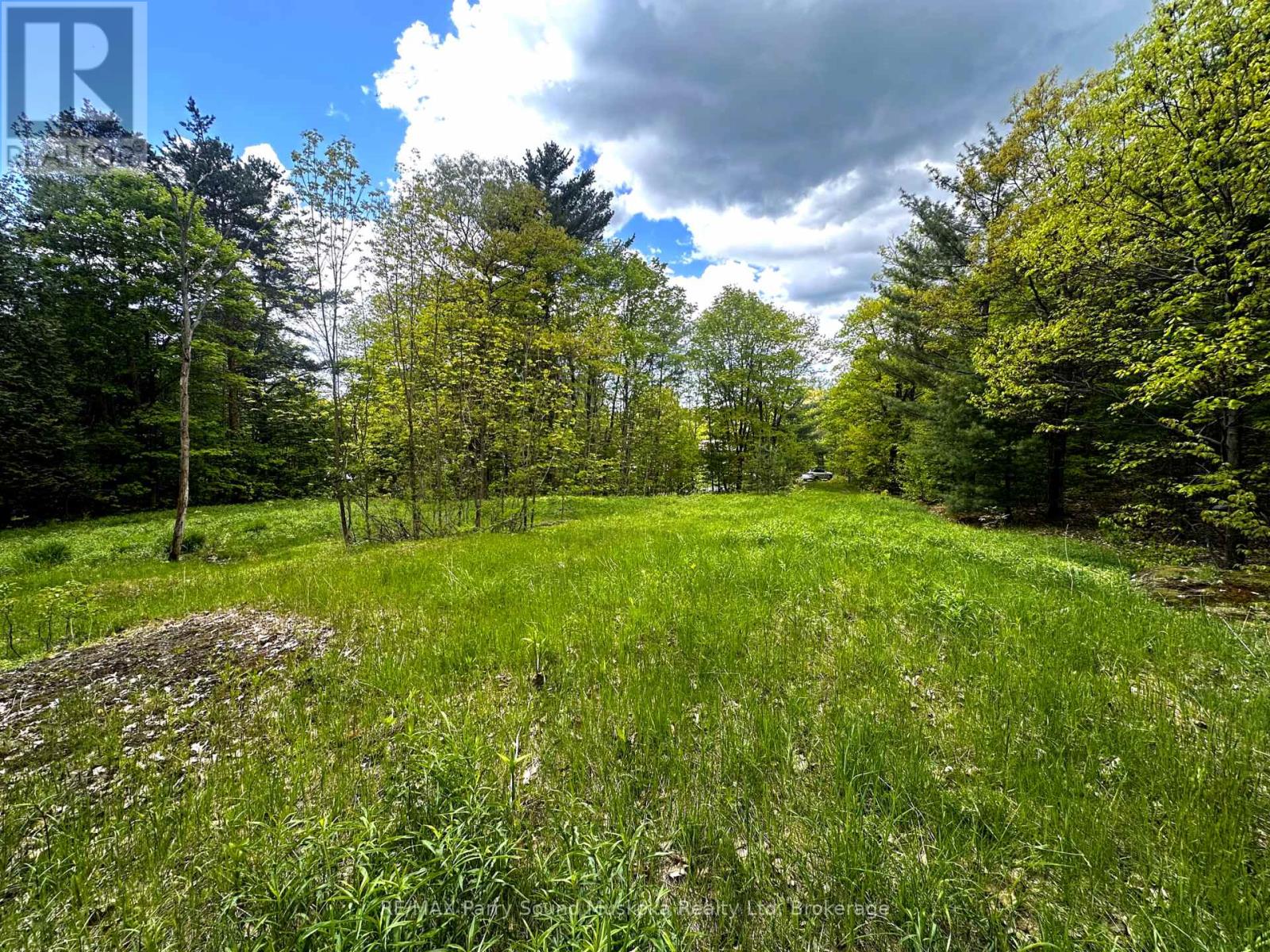 22a Lock Street, Seguin, Ontario  P0C 1J0 - Photo 4 - X12013046
