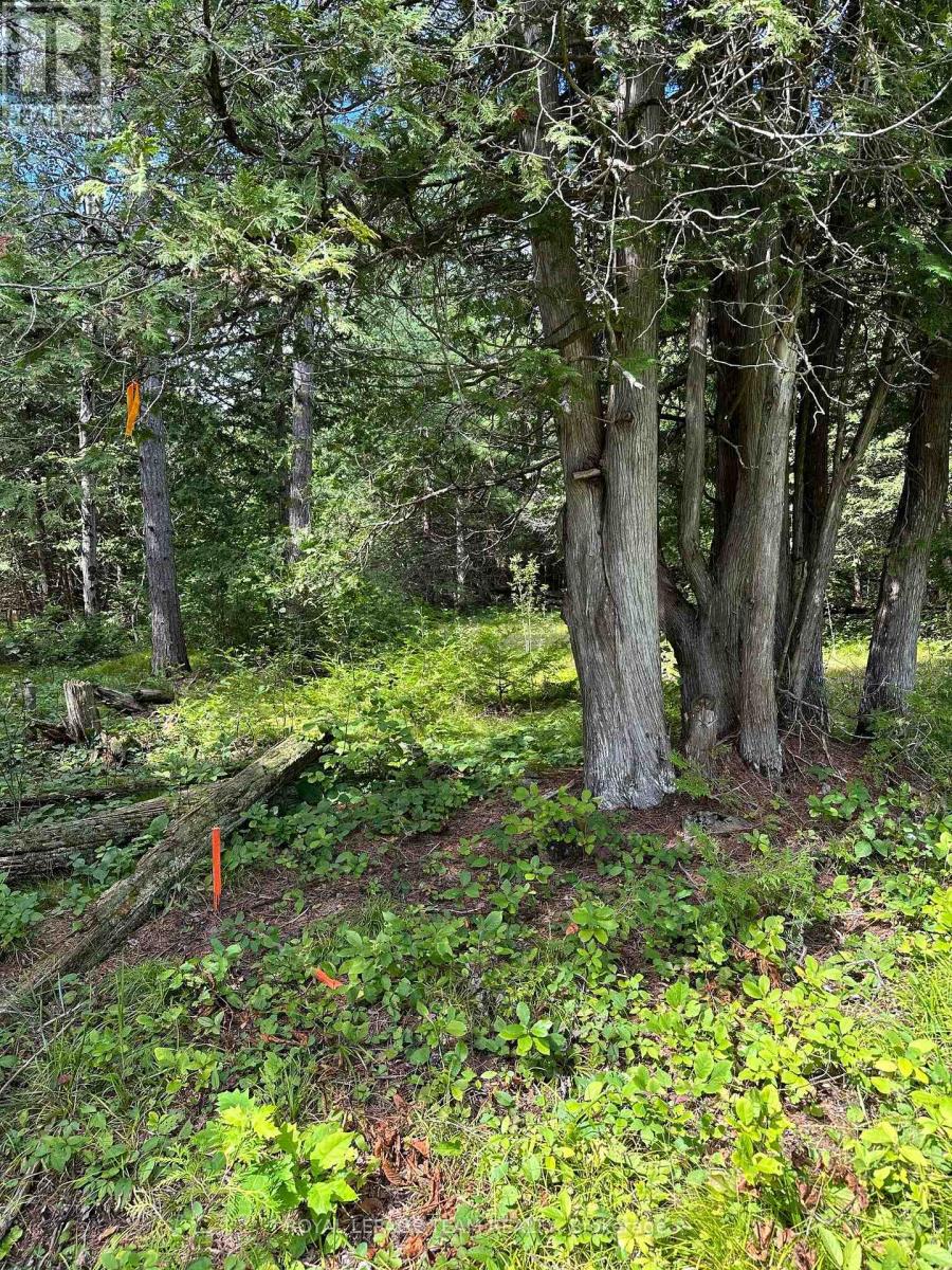 Lot 23 Dwyer Hill Road, Ottawa, Ontario  K0A 1B0 - Photo 6 - X12090412
