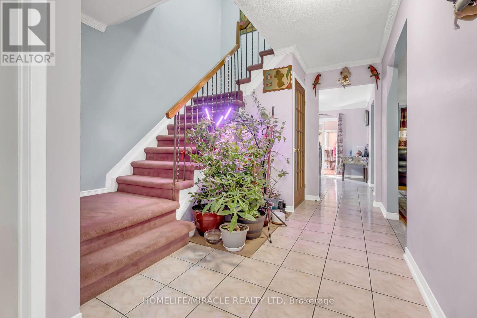 4 Colchester Avenue, Brampton, Ontario  L6Z 3R1 - Photo 12 - W12090261