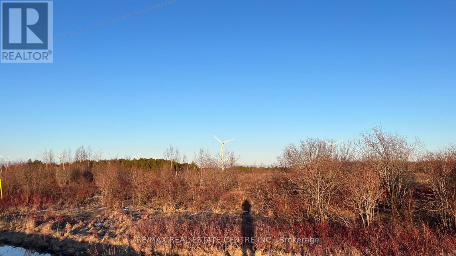 681044 260 Side Road, Melancthon, Ontario  L9V 2M7 - Photo 4 - X12090441