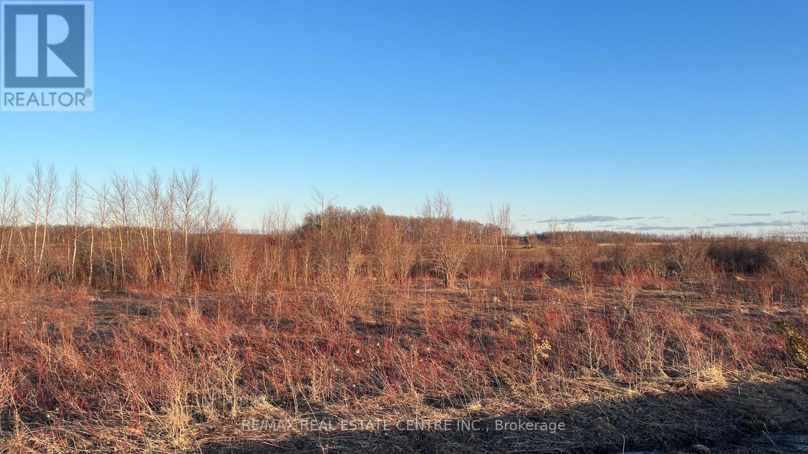 681044 260 Side Road, Melancthon, Ontario  L9V 2M7 - Photo 6 - X12090441