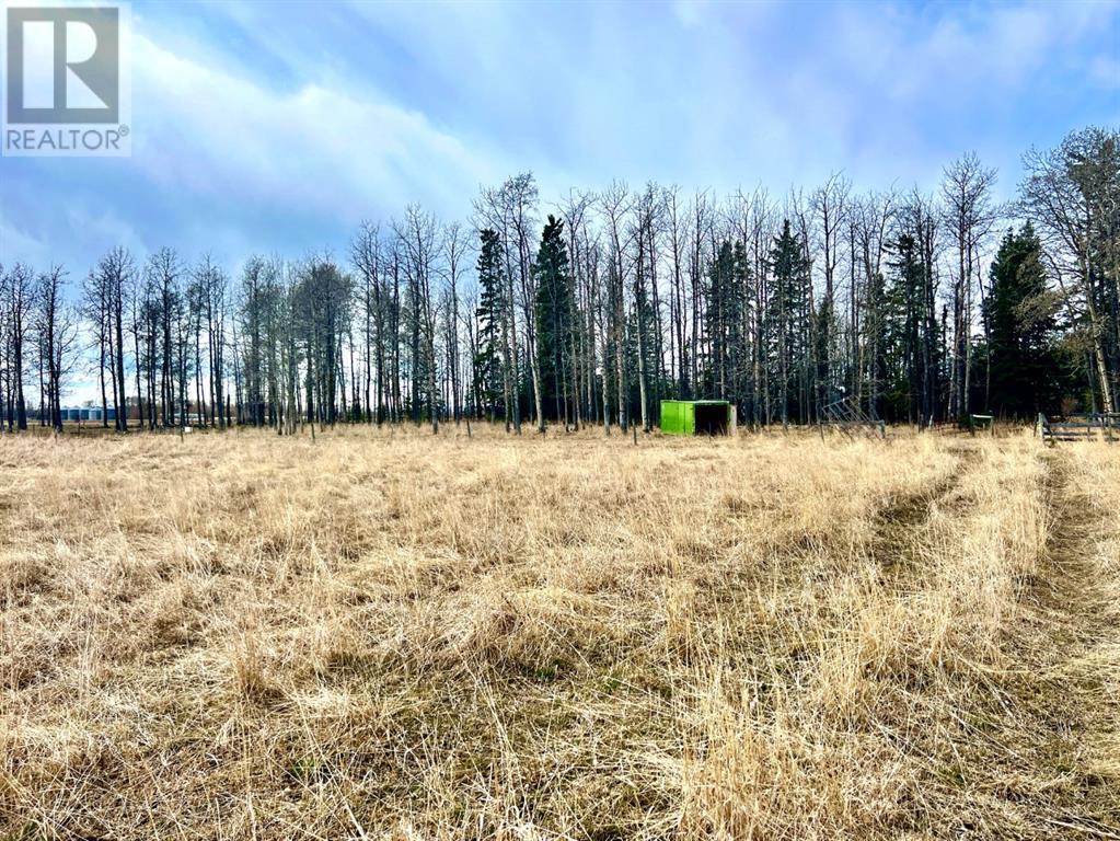 392041 Rr 6-4, Rural Clearwater County, Alberta  T4T 2A2 - Photo 7 - A2212613