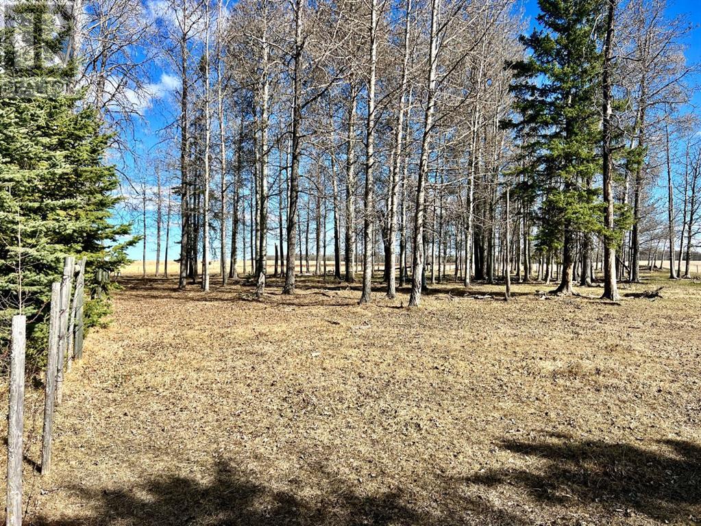 392041 Rr 6-4, Rural Clearwater County, Alberta  T4T 2A2 - Photo 20 - A2212613