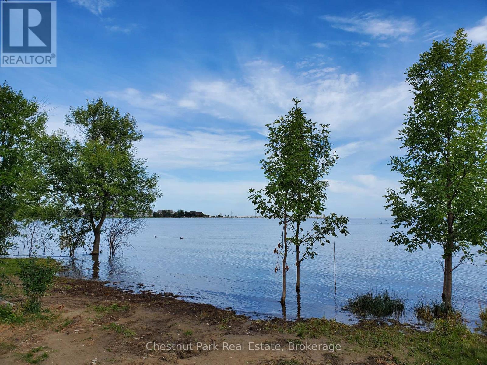 12 Cranberry Surf, Collingwood, Ontario  L9Y 5C4 - Photo 25 - S12086469