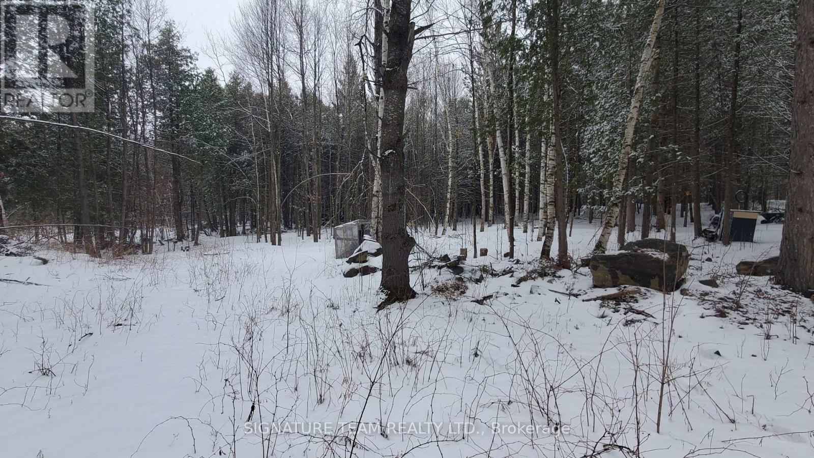 3155 Mountain View Road, Killaloe, Ontario  K0J 2A0 - Photo 7 - X12091105