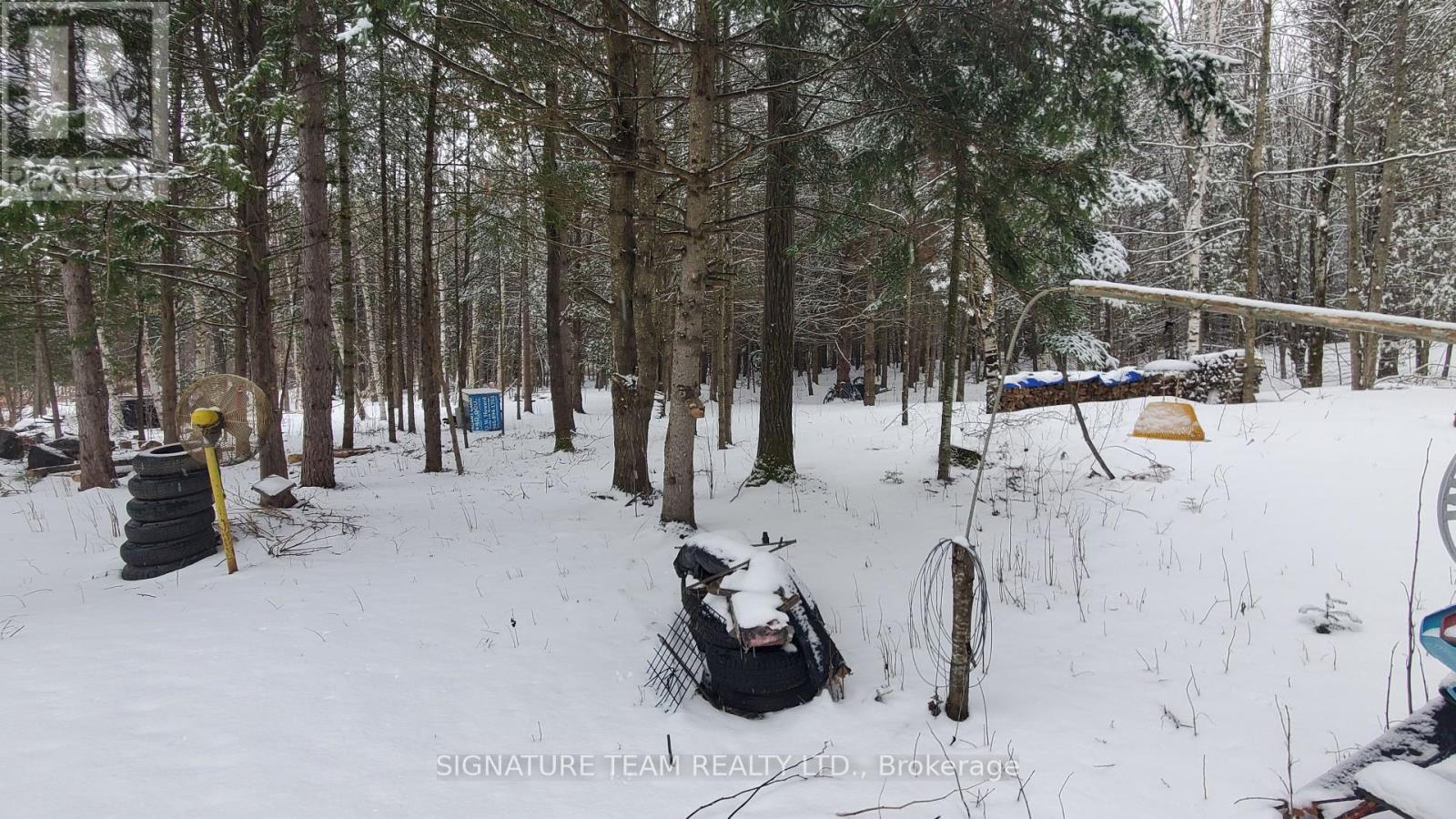 3155 Mountain View Road, Killaloe, Ontario  K0J 2A0 - Photo 8 - X12091105