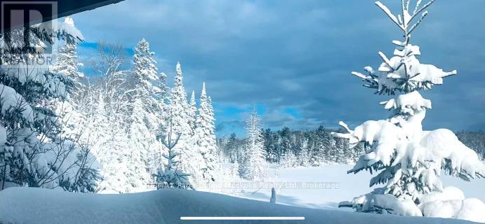 Lot 34 Hwy 520, Whitestone, Ontario  P0A 1G0 - Photo 11 - X12091107