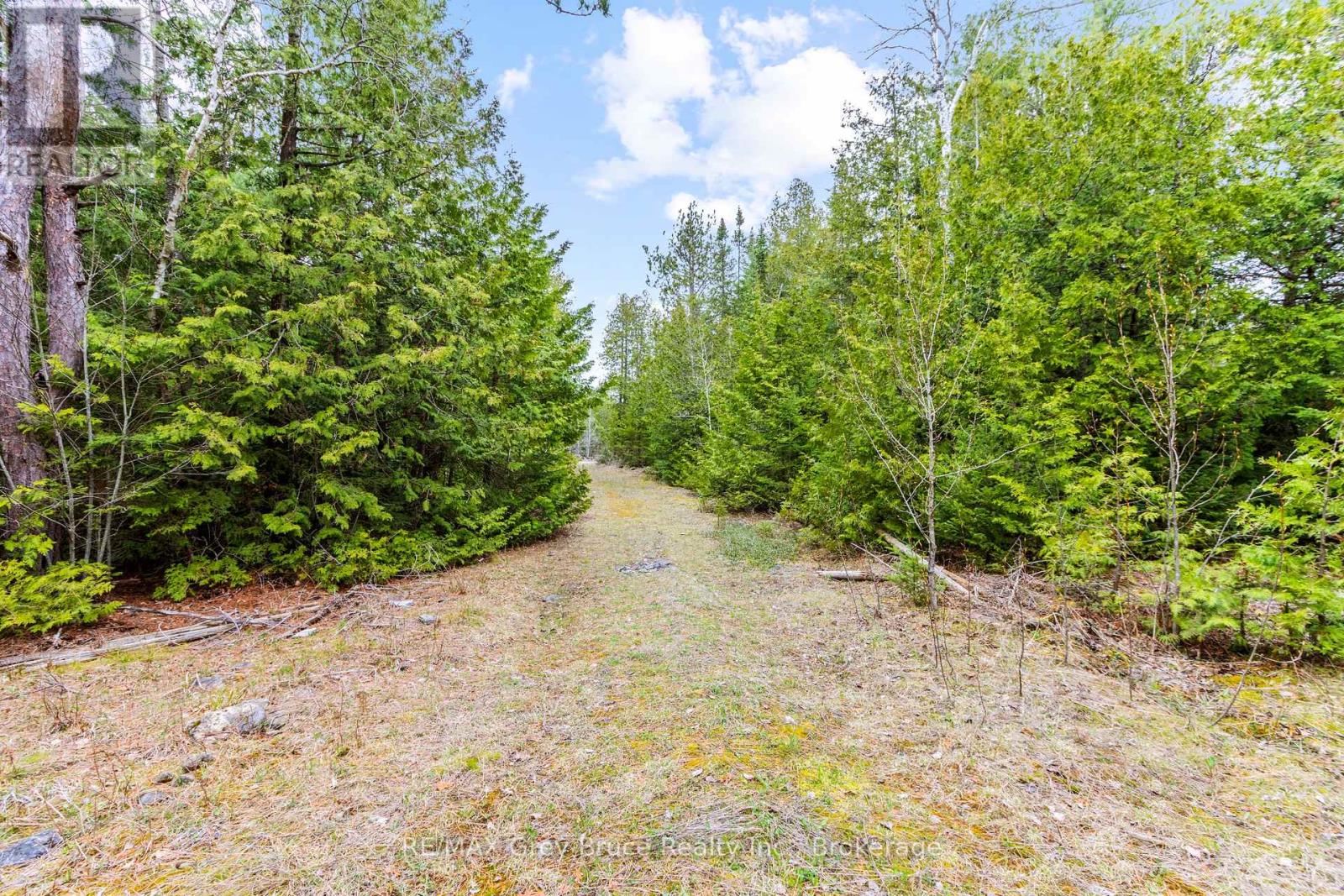 Lot 41& 42 Concession 4, Northern Bruce Peninsula, Ontario  N0H 1Z0 - Photo 10 - X12091138