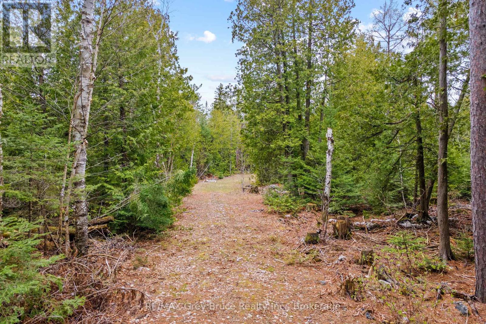 Lot 41& 42 Concession 4, Northern Bruce Peninsula, Ontario  N0H 1Z0 - Photo 13 - X12091138