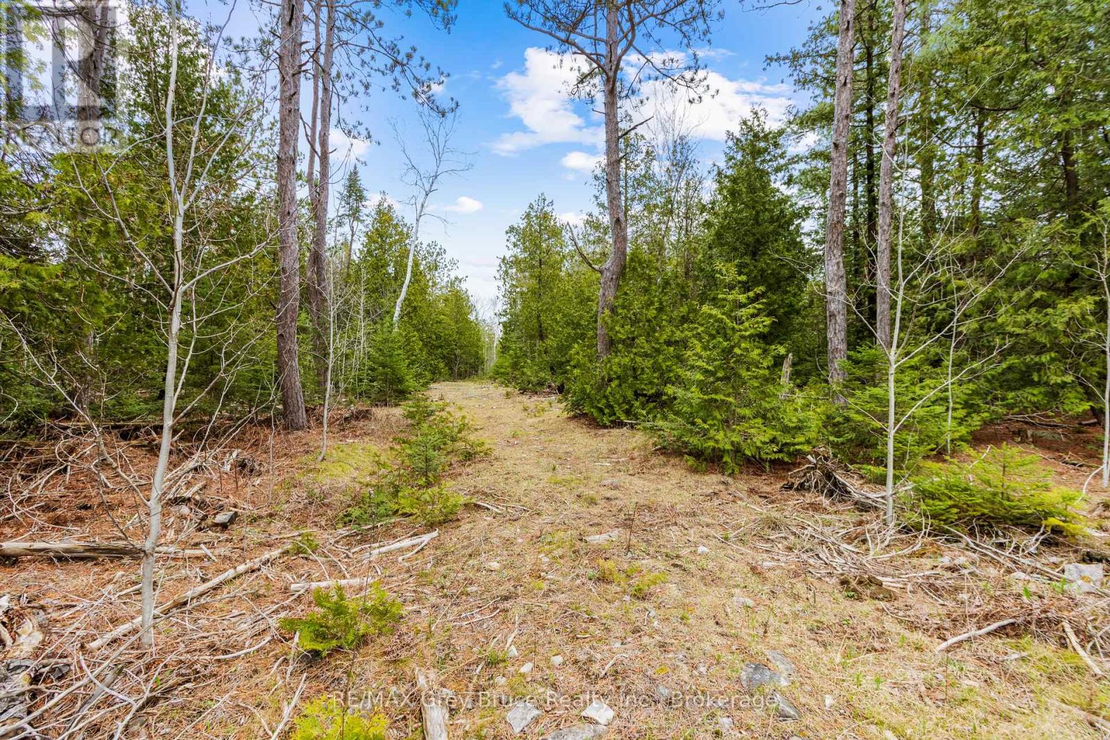 Lot 41& 42 Concession 4, Northern Bruce Peninsula, Ontario  N0H 1Z0 - Photo 18 - X12091138