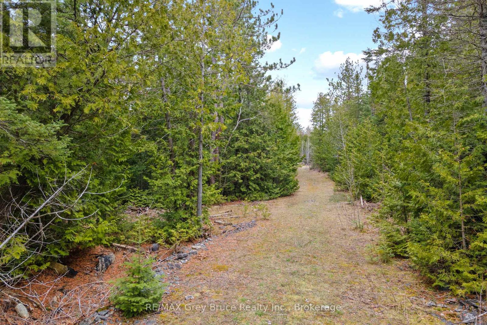 Lot 41& 42 Concession 4, Northern Bruce Peninsula, Ontario  N0H 1Z0 - Photo 2 - X12091138