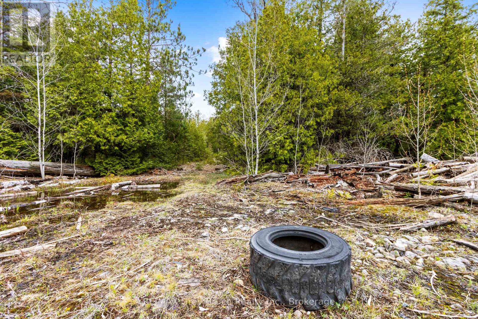 Lot 41& 42 Concession 4, Northern Bruce Peninsula, Ontario  N0H 1Z0 - Photo 20 - X12091138