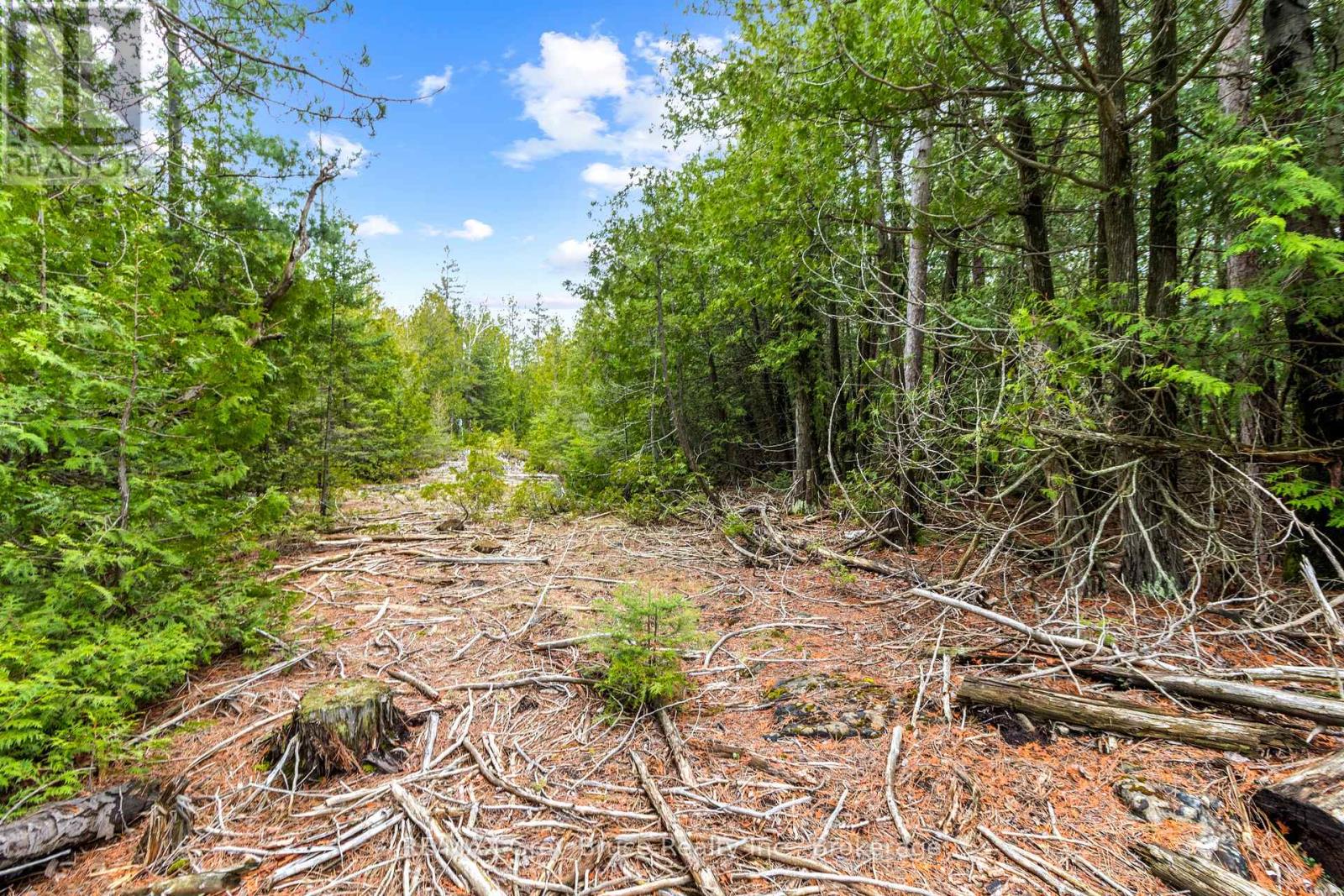 Lot 41& 42 Concession 4, Northern Bruce Peninsula, Ontario  N0H 1Z0 - Photo 21 - X12091138