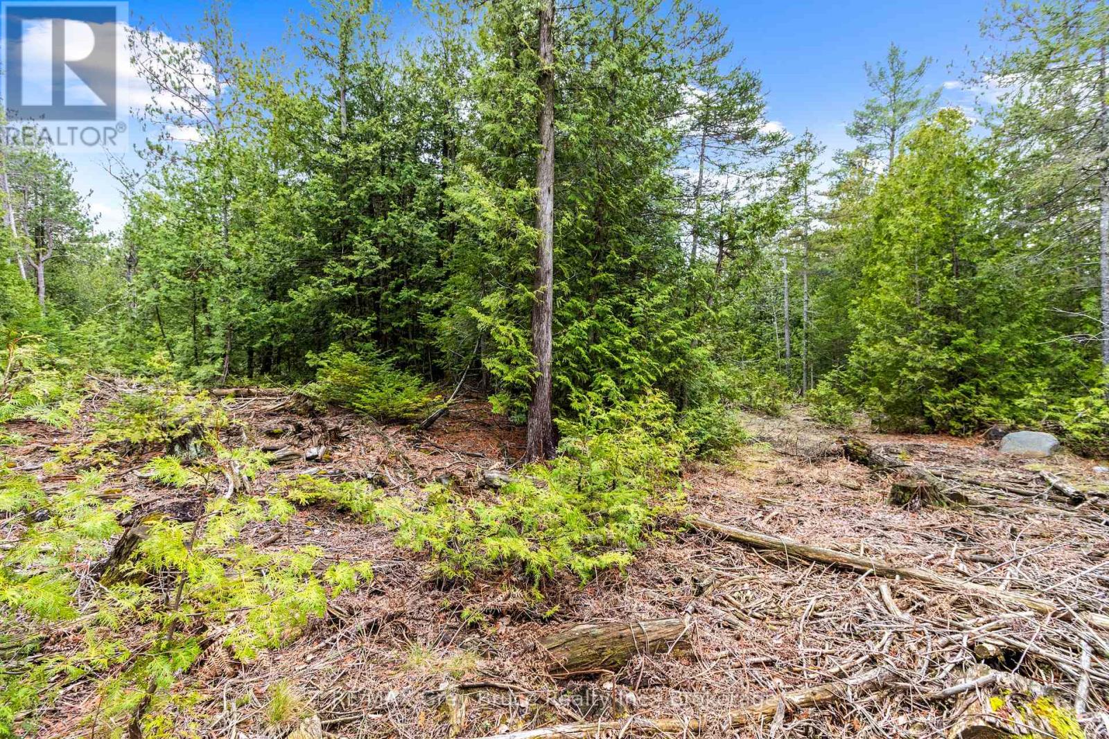 Lot 41& 42 Concession 4, Northern Bruce Peninsula, Ontario  N0H 1Z0 - Photo 22 - X12091138