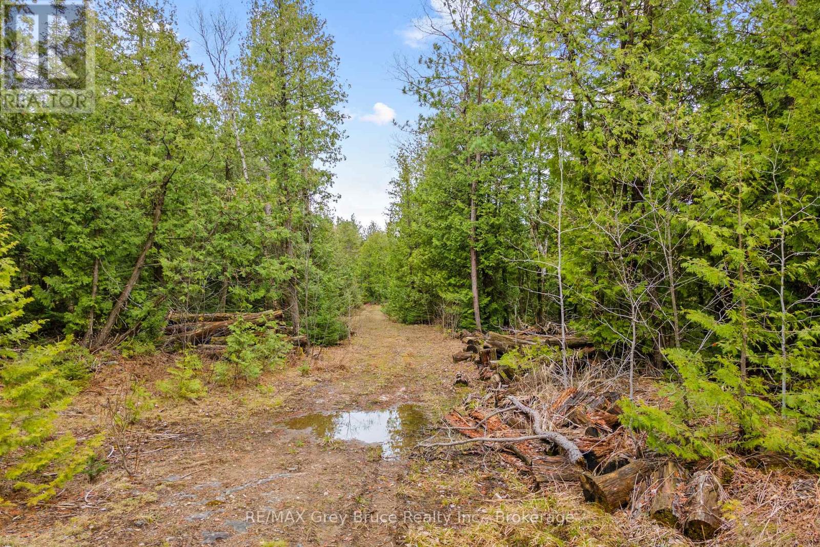 Lot 41& 42 Concession 4, Northern Bruce Peninsula, Ontario  N0H 1Z0 - Photo 23 - X12091138