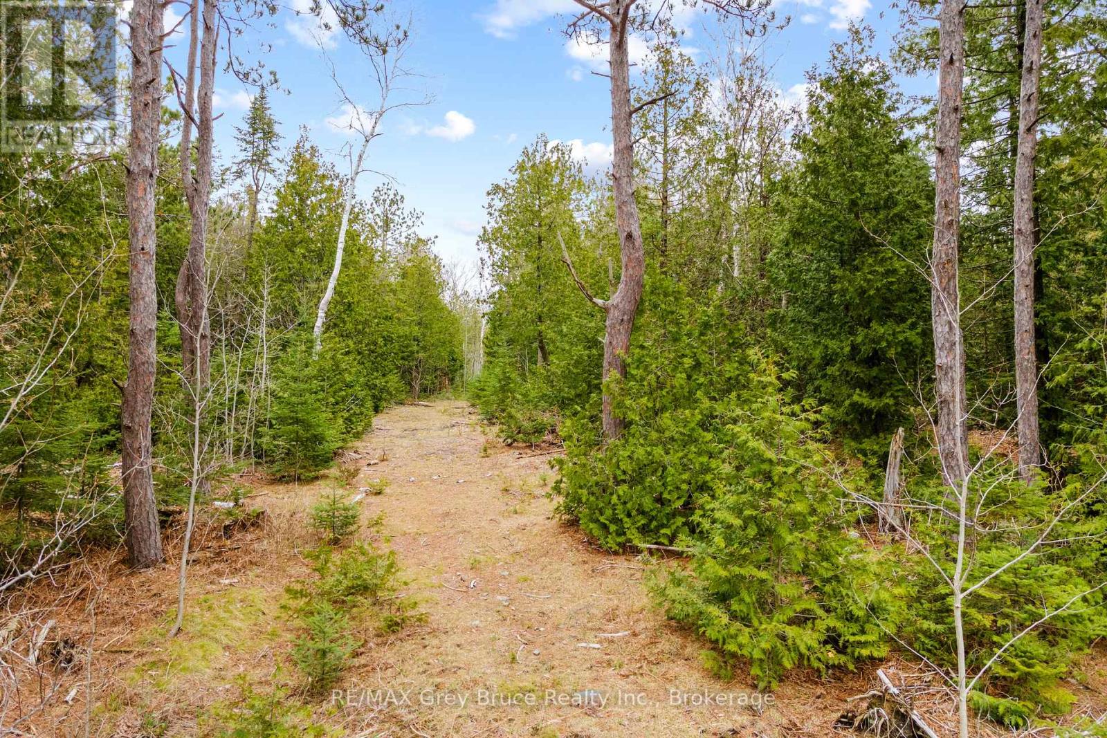 Lot 41& 42 Concession 4, Northern Bruce Peninsula, Ontario  N0H 1Z0 - Photo 24 - X12091138