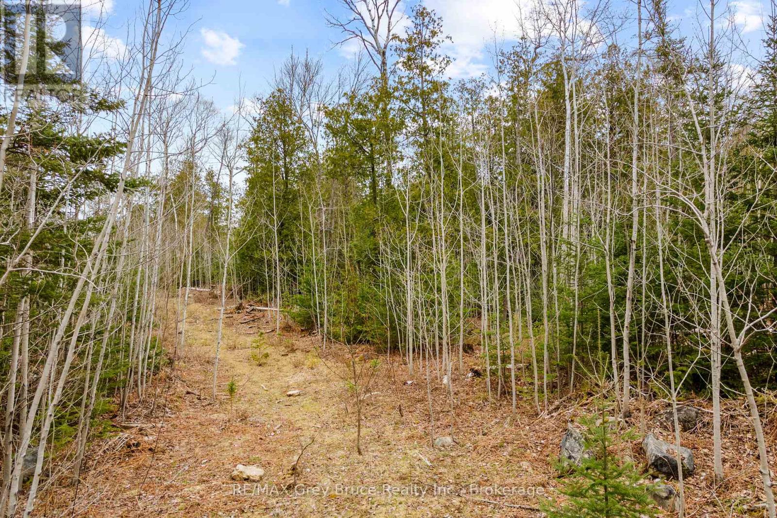 Lot 41& 42 Concession 4, Northern Bruce Peninsula, Ontario  N0H 1Z0 - Photo 25 - X12091138