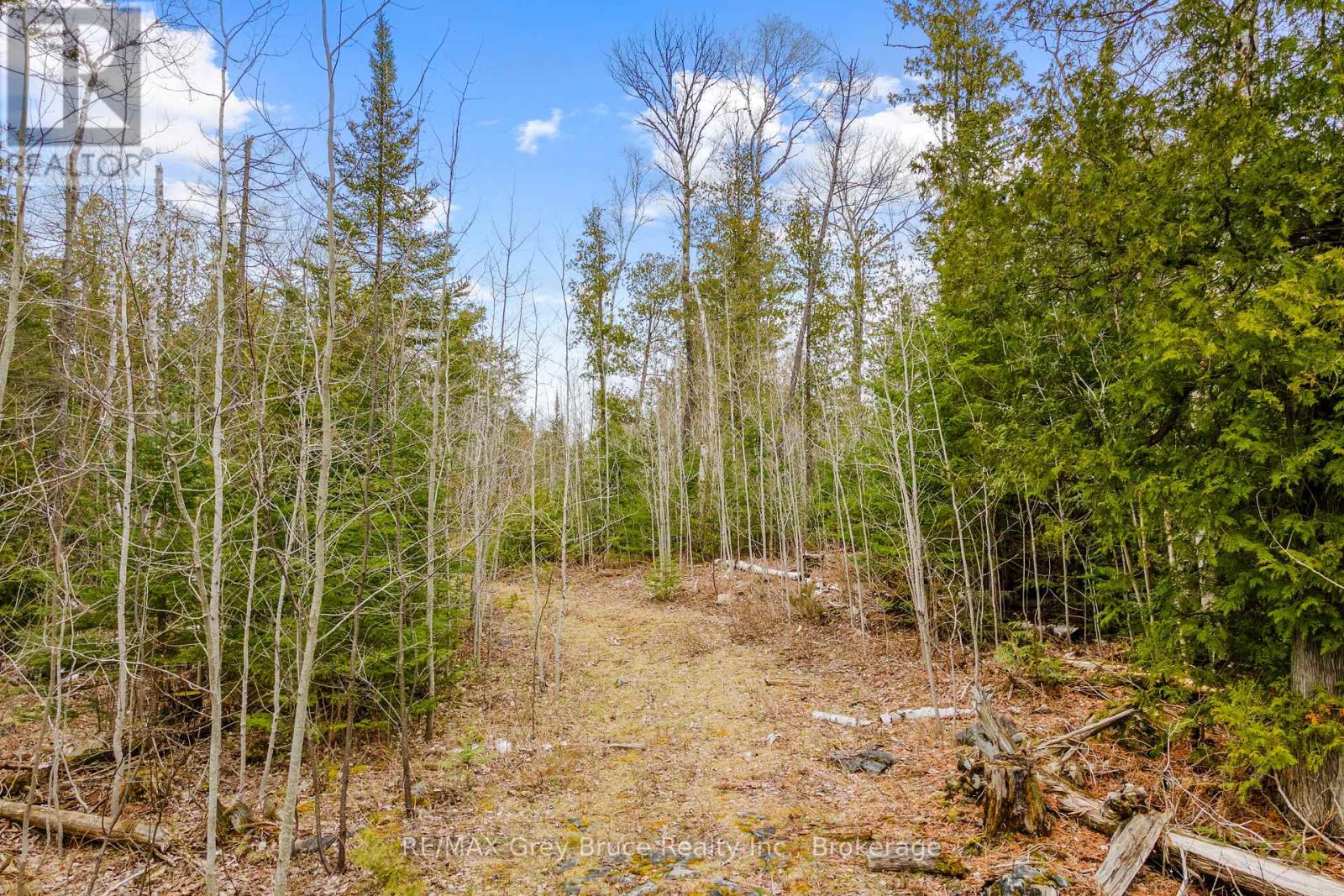 Lot 41& 42 Concession 4, Northern Bruce Peninsula, Ontario  N0H 1Z0 - Photo 26 - X12091138