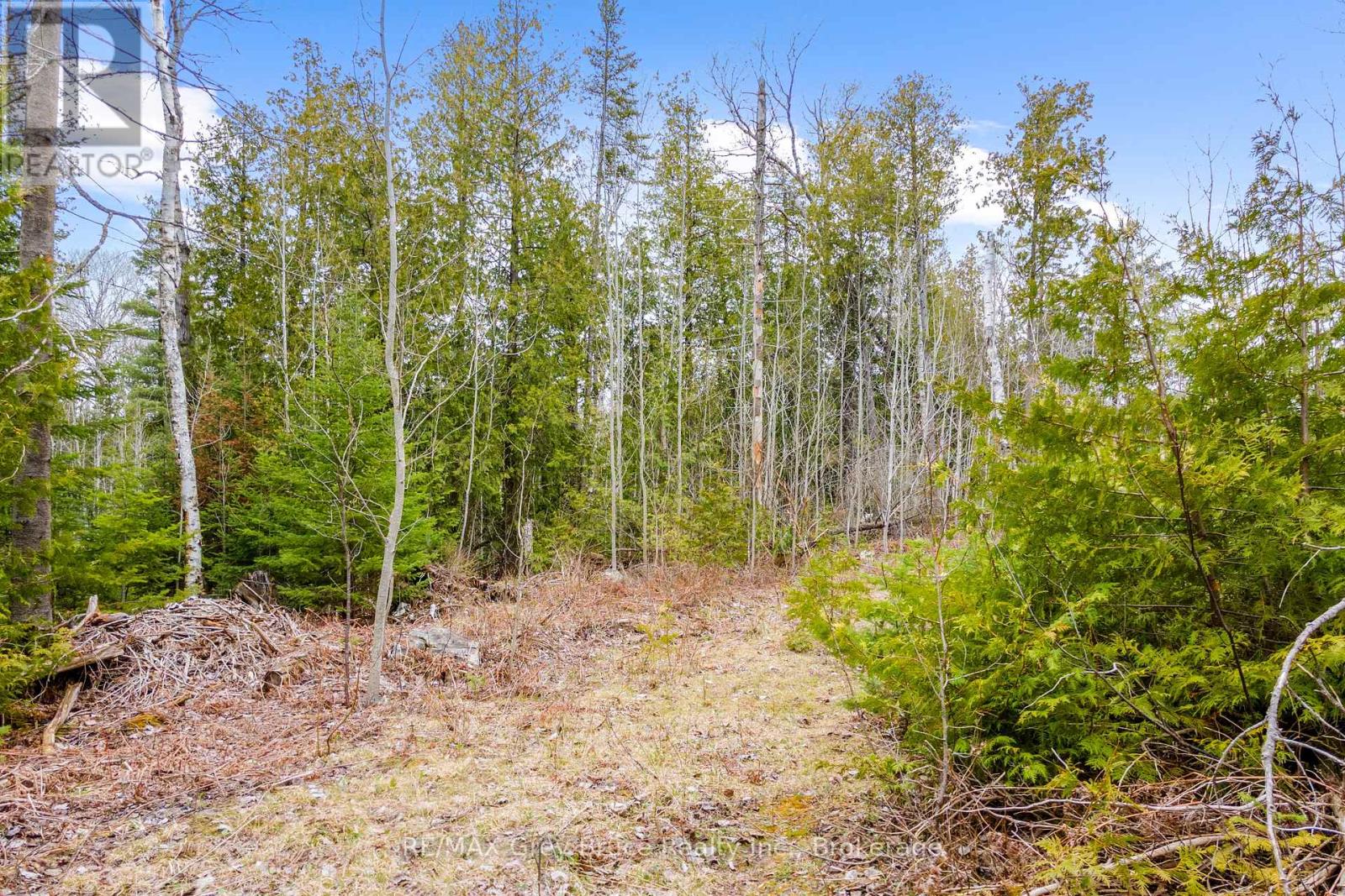 Lot 41& 42 Concession 4, Northern Bruce Peninsula, Ontario  N0H 1Z0 - Photo 27 - X12091138