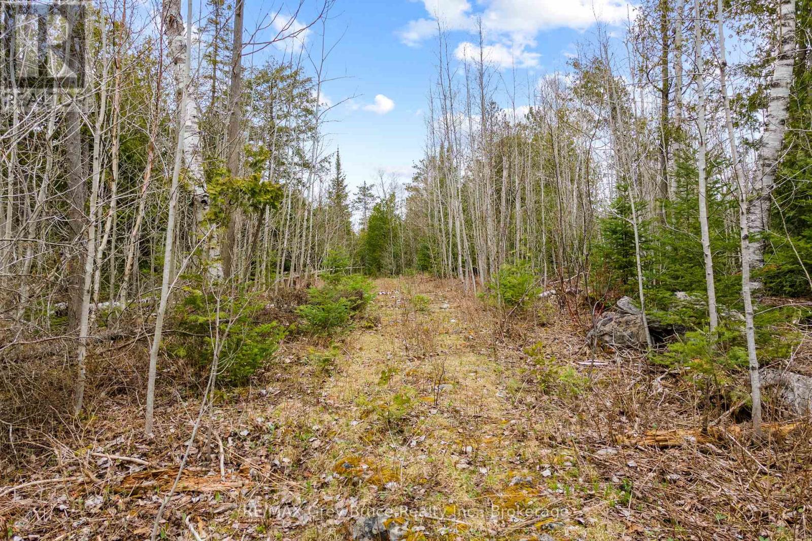 Lot 41& 42 Concession 4, Northern Bruce Peninsula, Ontario  N0H 1Z0 - Photo 28 - X12091138