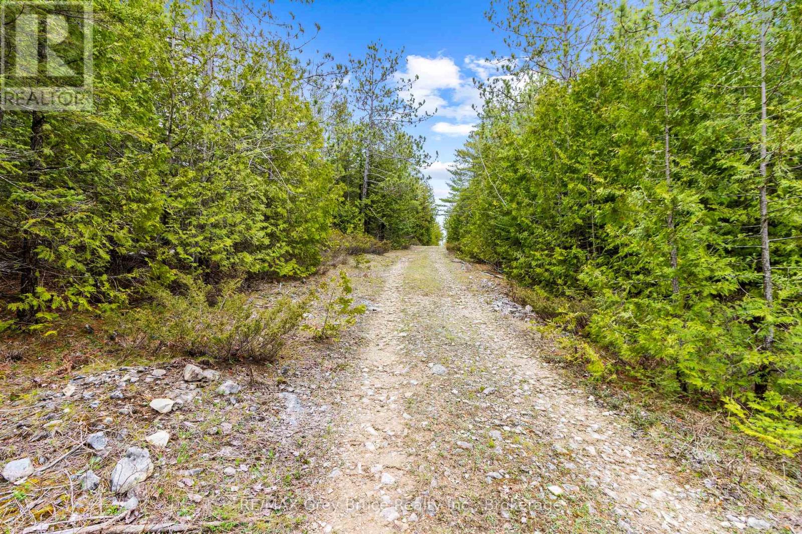 Lot 41& 42 Concession 4, Northern Bruce Peninsula, Ontario  N0H 1Z0 - Photo 8 - X12091138