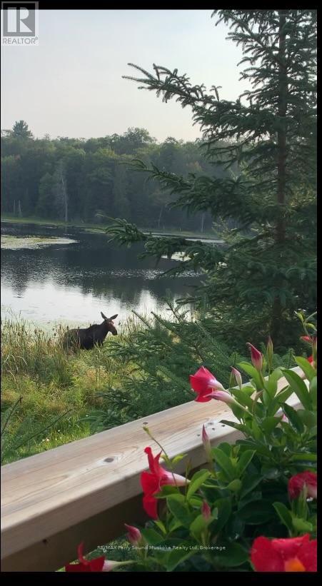 Lot 34 Hwy 520, Whitestone, Ontario  P0A 1G0 - Photo 2 - X12091107