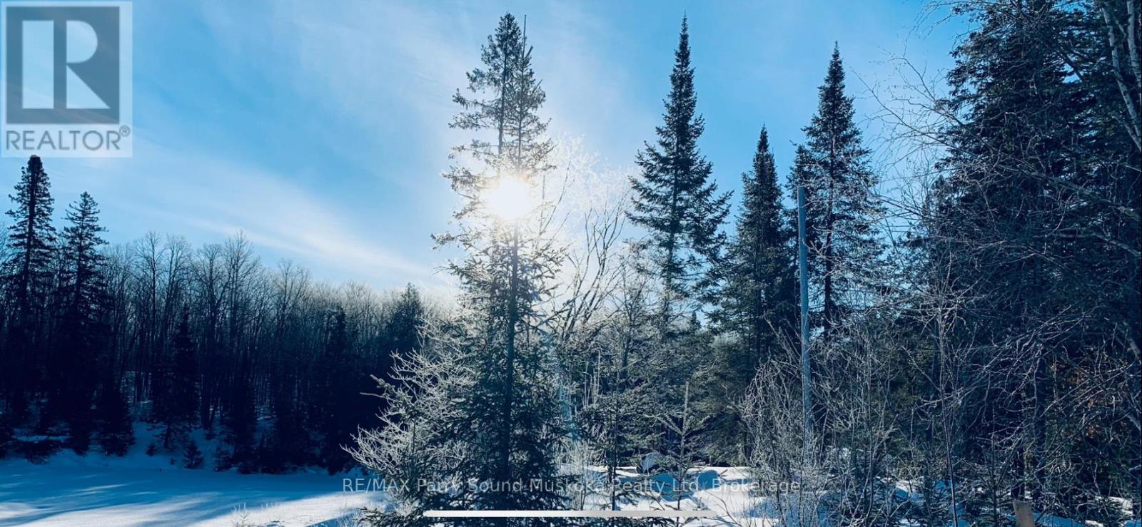 Lot 34 Hwy 520, Whitestone, Ontario  P0A 1G0 - Photo 5 - X12091107