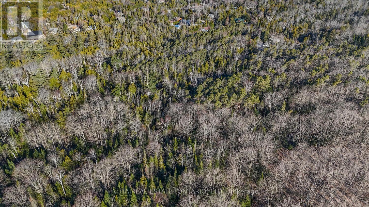450 Sauble Falls Parkway, South Bruce Peninsula, Ontario  N0H 2G0 - Photo 19 - X12091194
