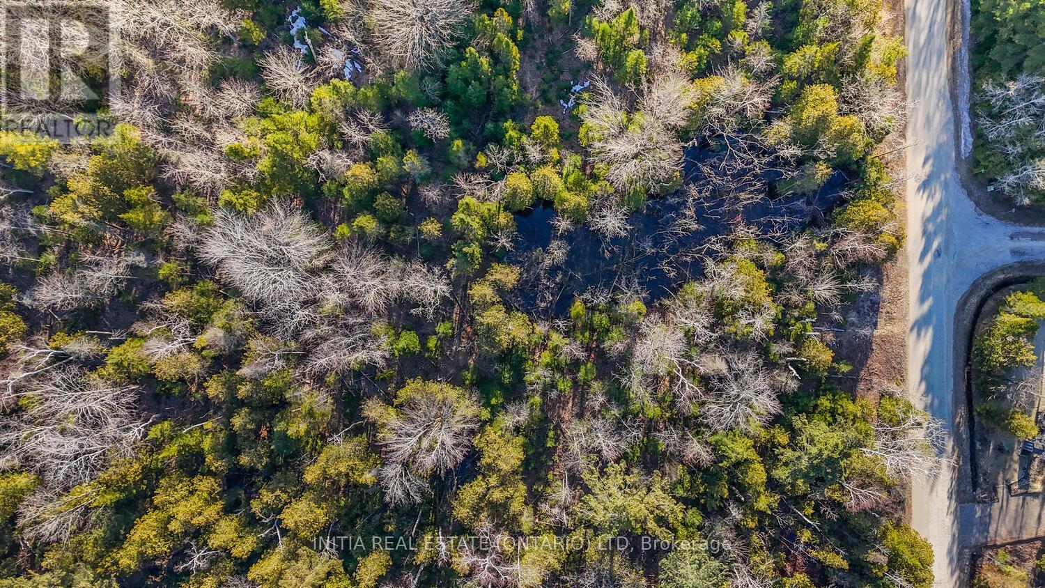 450 Sauble Falls Parkway, South Bruce Peninsula, Ontario  N0H 2G0 - Photo 33 - X12091194