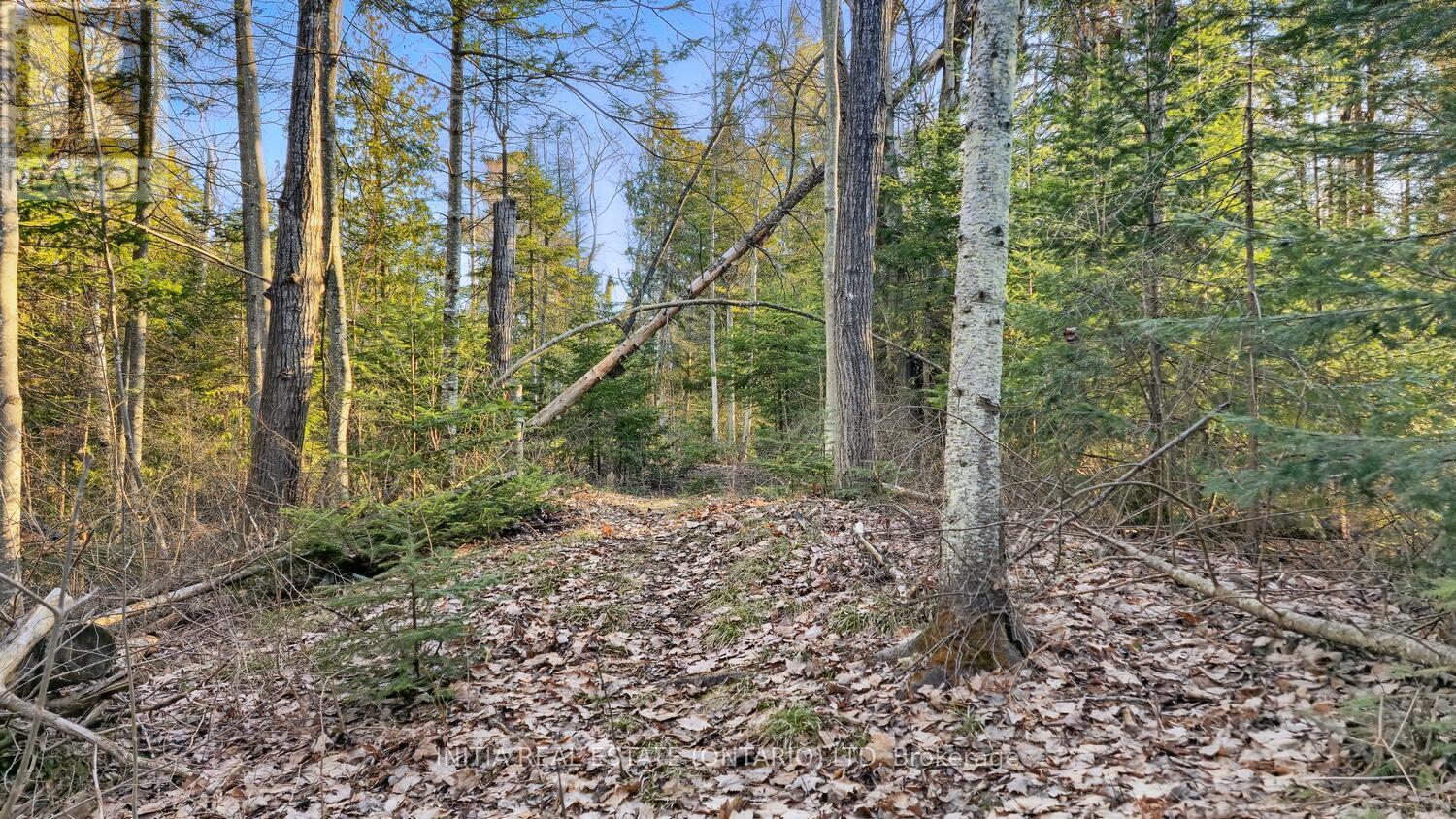 450 Sauble Falls Parkway, South Bruce Peninsula, Ontario  N0H 2G0 - Photo 35 - X12091194